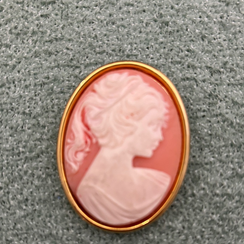 Vintage Pink Cameo Lady Brooch Pin Faux Gold Tone Ornate Woman Art Bellissima